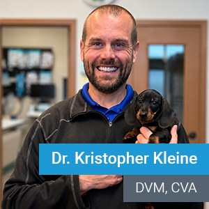 A smiling man in a veterinary clinic holds a small dachshund puppy. Text overlay reads: “Dr. Kristopher Kleine, DVM, CVA.”.
