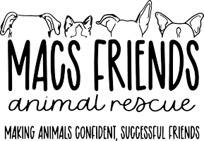 Logo for MACS Friends Animal Rescue featuring illustrations of four animal ears and heads, with the tagline "Making Animals Confident, Successful Friends" written below.