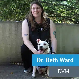 A smiling woman with long hair, dressed in black, crouches outdoors next to a white dog with black ears. The text on the image reads "Dr. Beth Ward, DVM." Trees and a concrete wall are in the background.